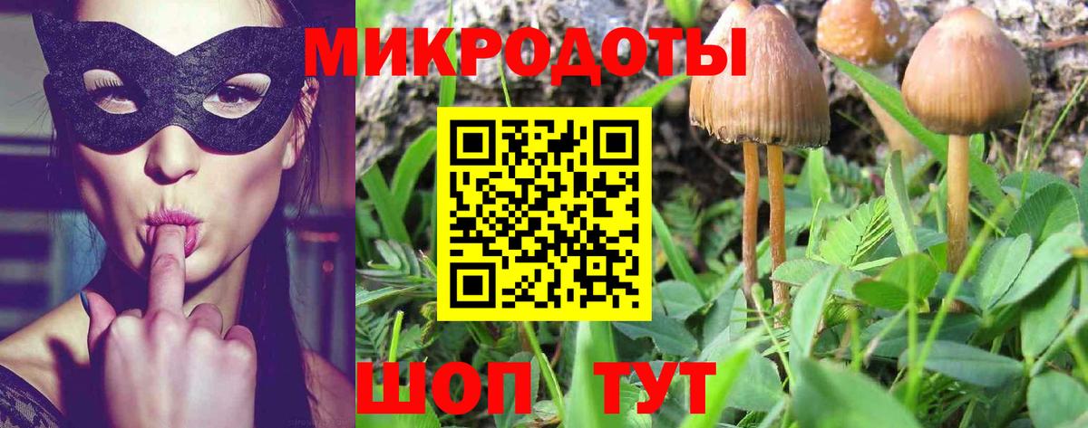 Дальнегорск  наркота  Вход с VPN  Псилоцибиновые грибы Psilocybine cubensis 