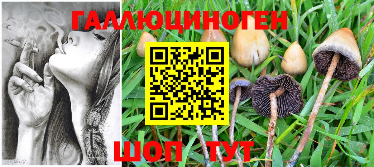 Псилоцибиновые грибы MAGIC MUSHROOMS Дальнегорск